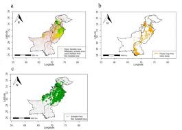 Faktor persekutuan 18 dan 24 yaitu 1 2 3dan 6. Climate Change And Potential Distribution Of Potato Solanum Tuberosum Crop Cultivation In Pakistan Using Maxent