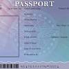 What you need to make a fake id. 1