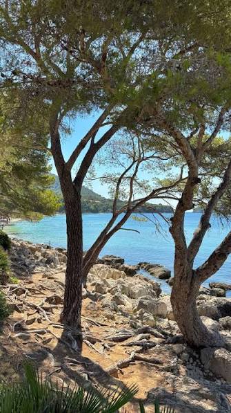 Carved by time, shaped by human hands, and embraced by the sea. The  sandstone quarries of Manresa are more than part of Alcúdia's landscape —  they are fragments of Mallorca's living history.