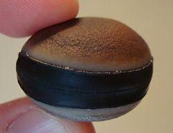 Image result for Mucuna glabrialata