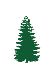 Download Pine Tree Silhouette Free Svg File Svgheart Com