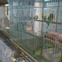 Check spelling or type a new query. Mina Pet Market 3 Tips From 80 Visitors