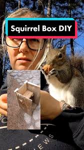 Sandy Squirrel House