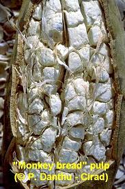In places like australia, it's called dead rat hanging. Plant Based Extracts Products After Project