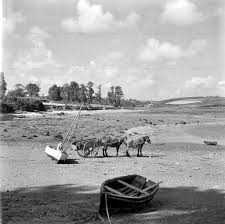 Charette De Goemonier A Pors Ar Vilin Saint Pabu Finistere Bretagne Finistere Phares De Bretagne