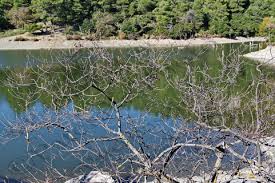 Υδροβιότοπους της αττικής, τη λίμνη μπελέτσι, στην ιπποκράτειο πολιτεία, στις ανατολικές πλαγιές της πάρνηθας. Paterakis Photography 216 11165 Dim 6715 Jpg