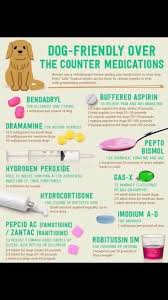 Pin By Rikki Greeff On Good To Know In 2020 Meds For Dogs Dog Friends Dog Remedies