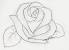 Pencil Simple Flower Art