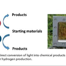 Check spelling or type a new query. Pdf The Effect Of Light On Humans