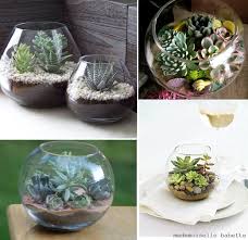Mademoiselle Babette Diy Flores Y Plantas En Una Pecera Terrariums Succulent Terrarium Succulents Diy Creative Gardening