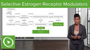 Image result for Selective Estrogen Receptor Modulator