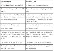 Maybe you would like to learn more about one of these? Chapter 5 The Fundamental Unit Of Life Science Ncert Solution Grade 9
