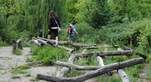 Posts About Schools On Love Outdoor Play Natural Playground Nature Play School Playground