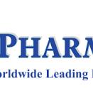 Amino-PEG6-t-butyl ester, 1286281-32-0 | BroadPharm