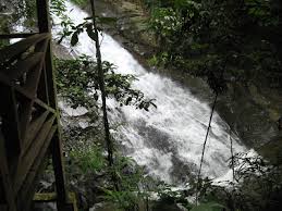 Di kebun binatang ini anda bisa lokasi: Tempat Menarik Di Hulu Langat Selangor