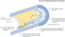 Image result for what does proteus mirabilis infection treatment