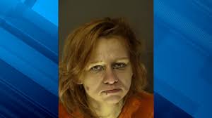 Horry County honors Williamsburg County Fire Department for Carolina Forest  wildfire support