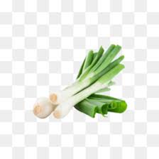 Check spelling or type a new query. Green Onions Png And Green Onions Transparent Clipart Free Download Cleanpng Kisspng