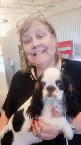 Remembering Vince Grosso The Kennel Club of Palm Springs lost a unique,  valuable and beloved member with the passing of Vince Grosso