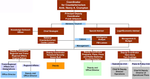 Organization Chart Office Of The Coordinator For
