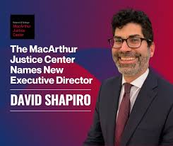 Bildergebnis für David Shapiro