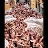 Imagen de la noticia para espai contrabandos junta de comerç 20 el raval de Levante-EMV