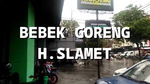 Bayangkan saja jika anda mendirikan budidaya hibrida dan mendapatkan banyak keuntungan. Harga Bebek Haji Slamet Malang Nusagates