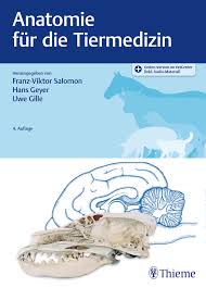 Entwicklung von bauchwand und leistenkanal. Anatomie Fur Die Tiermedizin 9783132426757 Thieme Webshop