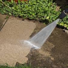 Professional Pressure Washing in Lake Mary, FL