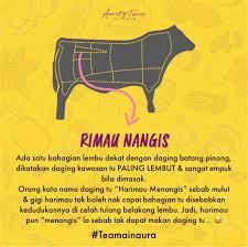 Fiszkoteka, your checked indonesian english dictionary! Daging Batang Pinang In English