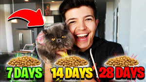 my CAT decides how long to BAN MINECRAFT HACKERS