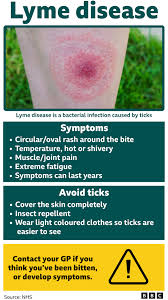 Image result for infected tick bite