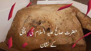 Your camel footprint stock images are ready. Hazrat Saleh Ke Utni Ke Nishan Prophet Saleh A S Footprint Of Camel Salalah Oman Youtube