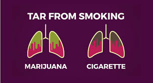 Image result for how does marijuana affect you