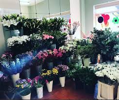 We did not find results for: About Us Funky Flowers Florist In West Drayton Greater London