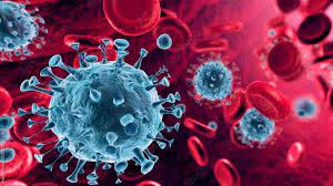 Outbreak of Coronavirus happened in East Asia 20000 years ago reveals a  study | பகீர் தகவல்! 20,000 ஆண்டுகளுக்கு முன்பே உலகில் பரவிய கொரோனா | World  News in Tamil
