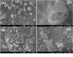Convert romanian leus to euros with a conversion calculator, or leus to euros conversion tables. A Simple But Efficient Catalytic Approach For The Degradation Of Pollutants In Aqueous Media Through Cicer Arietinum Supported Ni Nanoparticles