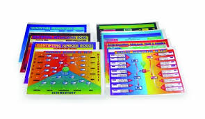 Amazon Com American Educational Metamorphic Rock Chart