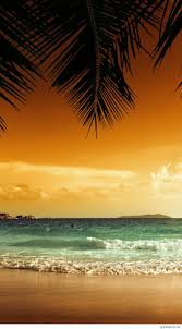 Download hd wallpapers for free on unsplash. Tropical Beach Sunset Wallpaper Iphone Apessoaescreve