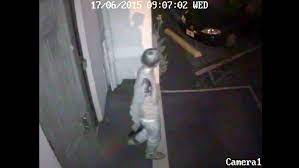 Roof and his attorneys tried to appeal the death sentence in may, according to wbtv. Fbi Had Resources To Halt Dylann Roof S Gun Buy But It Didn T Use Them And Still Doesn T Church Shooting Postandcourier Com