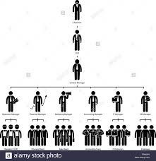 Organization Chart Tree Company Corporate Hierarchy Chairman