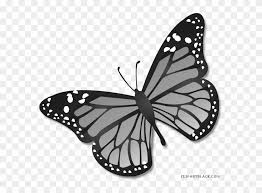 49 butterfly clipart black and white vector / images. Monarch Butterfly Clipart Black And White Transparent Background Monarch Butterfly Clipart Png Download 3871282 Pikpng