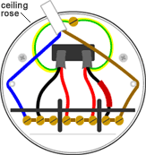 Wiring diagram for multiple light fixtures light switch. Looped In Lighting Wiring The Ceiling Rose