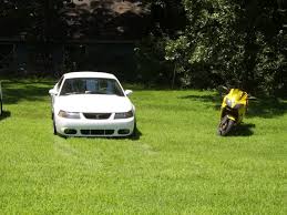 Image result for Oxford White 2003 Escape