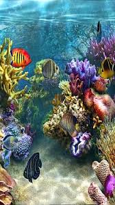 Unique watercolor bookmarks from projects with kids. 230 Coral Reef Paintings Ideas In 2021 Coral Reef Underwater Painting Underwater Art