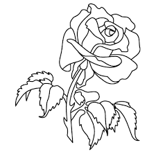 Maroon is a deeper, darker shade of red that has a few different colors that complement it. Easy Rose Coloring Pages Free Coloring Pages