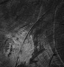 We did not find results for: Fond De Texture En Bois Noir Stock Photo Crushpixel