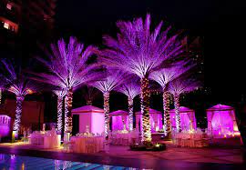 Inside Weddings Wedding Lights Wedding Reception Lighting Outdoor Wedding Lighting