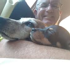 What are good places to ride dirt bikes in southern Indiana?