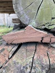 Using wood glue as an adhesive is not only simple and cheap, but it is also very durable as well. Finishing Exotic And Tropical Hardwoods The Wood Database